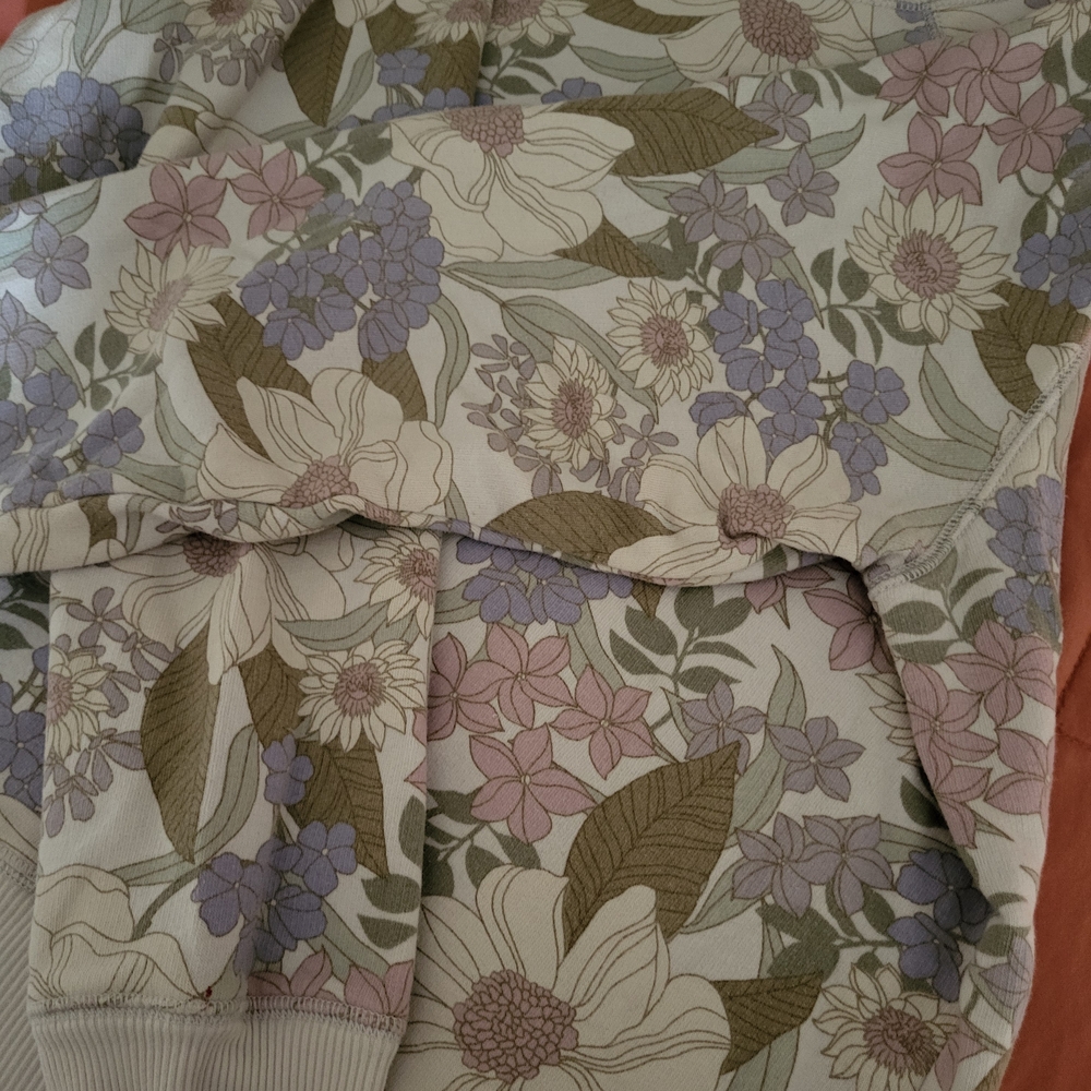 American Eagle Outfitters Cream and Purple Crew Neck Sweater